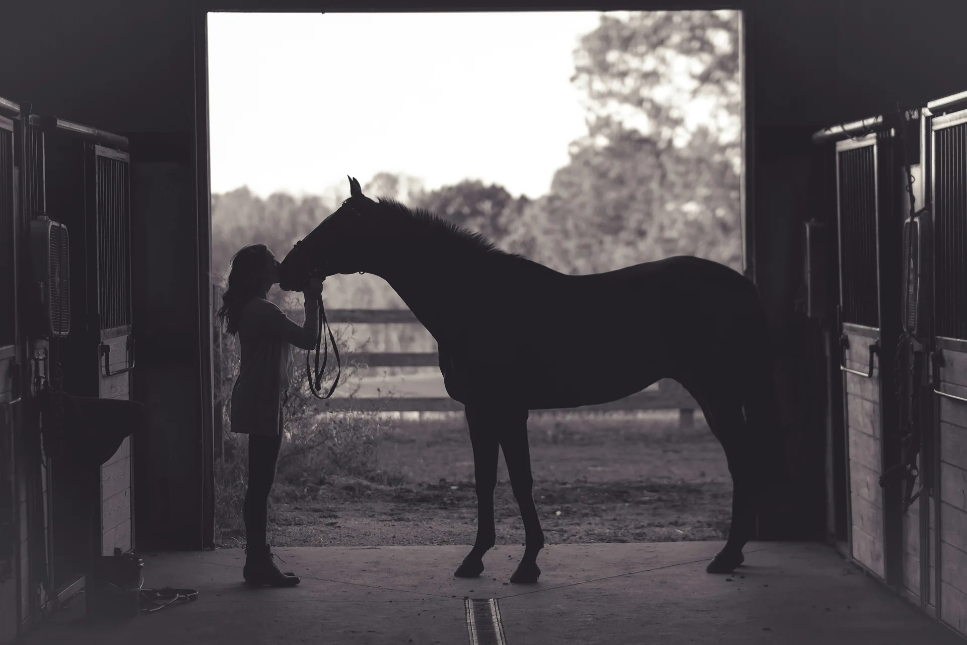 Girl with a horse in a stable kissing its nose